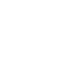 BIRDS blanc - autre oiseau 4