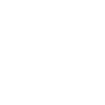 BIRDS blanc - envol 3